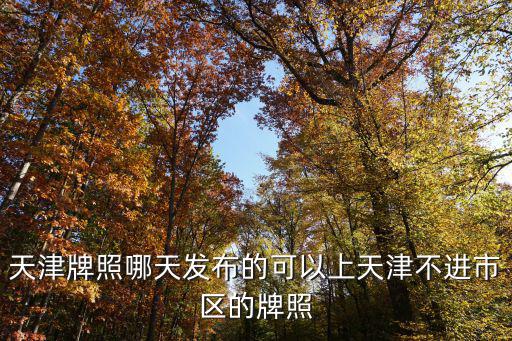 天津牌照哪天發布的可以上天津不進市區的牌照