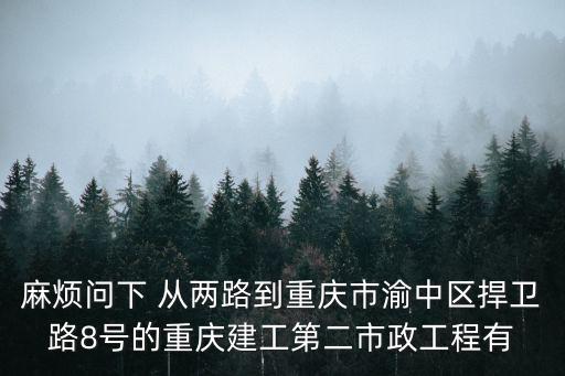 麻煩問下 從兩路到重慶市渝中區捍衛路8號的重慶建工第二市政工程有