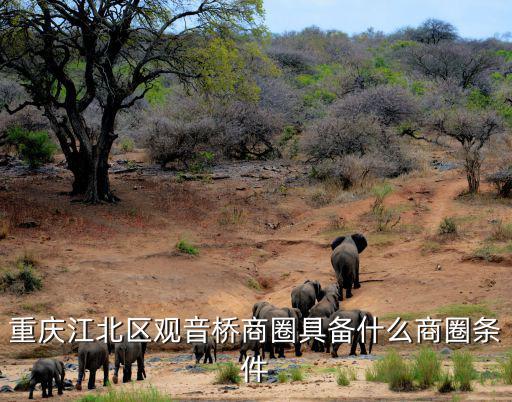 重慶市社區便民商圈建設規范，重慶江北區觀音橋商圈具備什么商圈條件