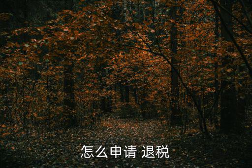 企業(yè)退稅,從哪里開始申請退稅?