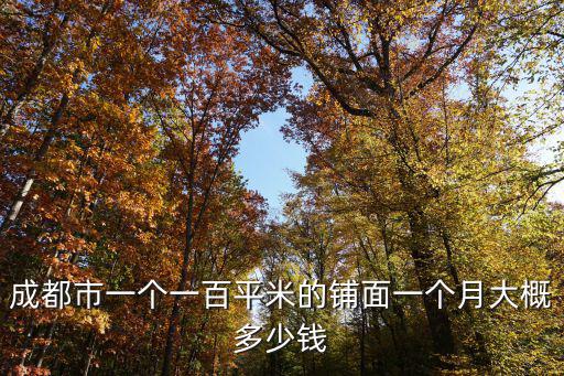 成都市底商錦江天璽，成都目前哪個片區還有底商