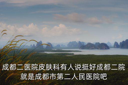 成都二醫院皮膚科有人說挺好成都二院就是成都市第二人民醫院吧