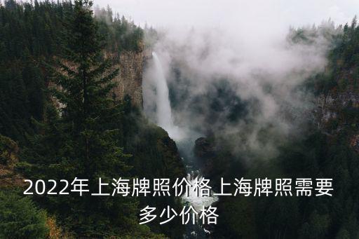 2022年上海牌照價格上海牌照需要多少價格
