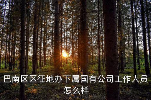 巴南區區征地辦下屬國有公司工作人員 怎么樣