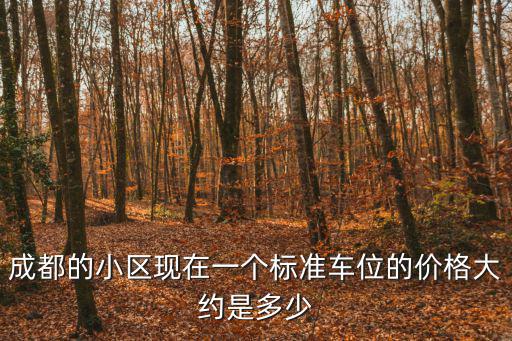 成都的小區(qū)現(xiàn)在一個標(biāo)準(zhǔn)車位的價格大約是多少