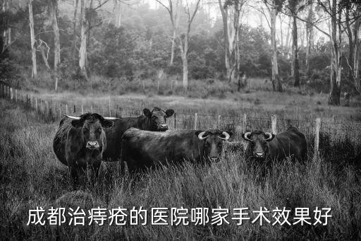 成都治痔瘡的醫院哪家手術效果好