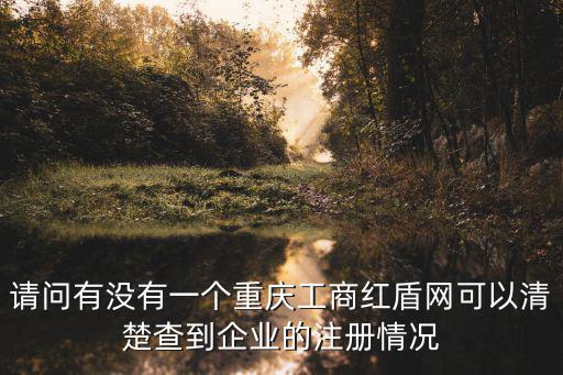 請問有沒有一個重慶工商紅盾網可以清楚查到企業的注冊情況