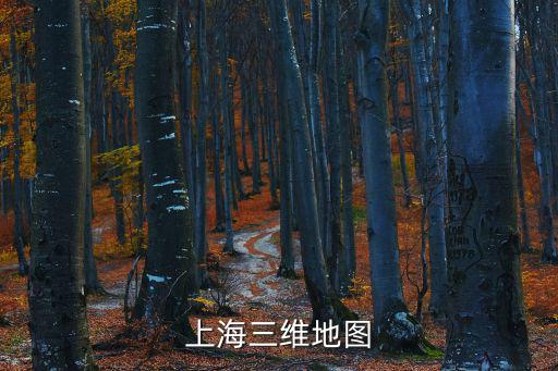 2020上海主城區地圖，最新的上海地圖