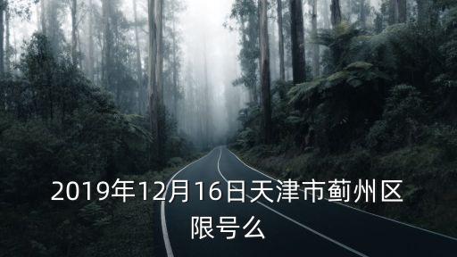 2019年12月16日天津市薊州區限號么