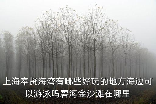 上海奉賢海灣有哪些好玩的地方海邊可以游泳嗎碧海金沙灘在哪里