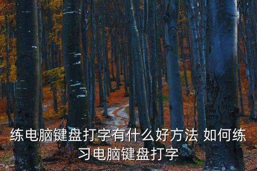 電腦鍵盤練習(xí)，求電腦鍵盤練習(xí)