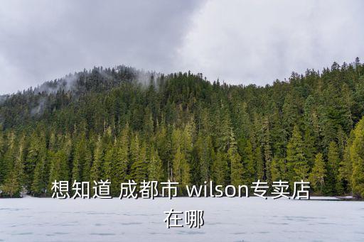 想知道 成都市 wilson專賣店 在哪