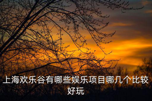 上海歡樂谷有哪些娛樂項目哪幾個比較好玩