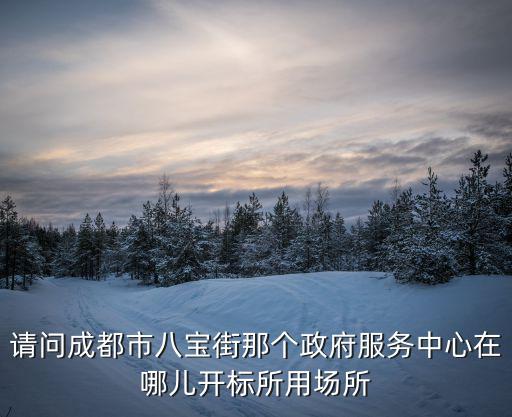 請問成都市八寶街那個政府服務中心在哪兒開標所用場所