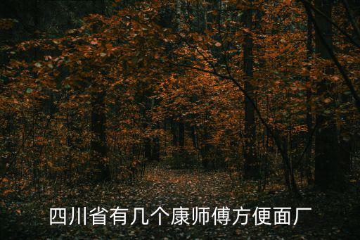 四川省有幾個康師傅方便面廠