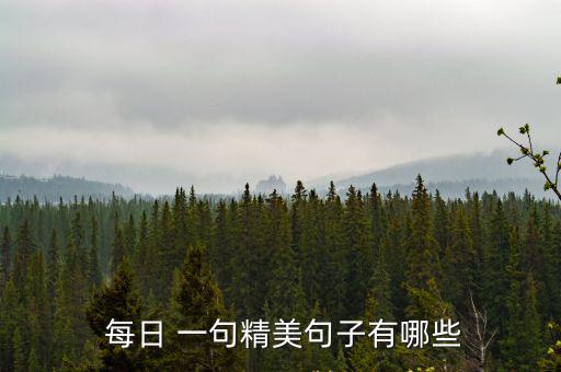 每日 一句精美句子有哪些