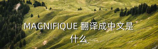 蘇萊曼一世，MAGNIFIQUE 翻譯成中文是什么