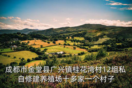 成都市金堂縣廣興鎮(zhèn)桂花灣村12組私自修建養(yǎng)殖場十多家一個村子