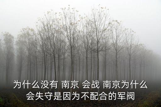 南京會戰,徐州會戰為中日大規模防御戰之一