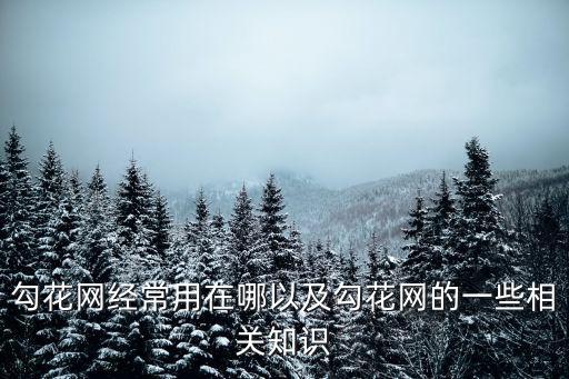 成都市彭州市包塑不銹鋼勾花網，勾花網經常用在哪以及勾花網的一些相關知識