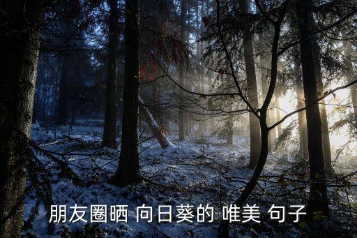 朋友圈曬 向日葵的 唯美 句子