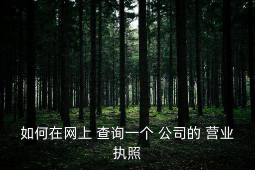 如何在網上 查詢一個 公司的 營業執照