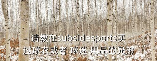 請教在subsidesports買過球衣或者 球迷 用品的兄弟