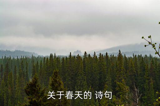 關于春的詩句,雨來得遲來得急野外無人過河?