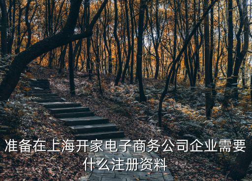 準備在上海開家電子商務公司企業需要什么注冊資料