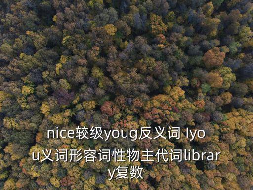 nice較級(jí)youg反義詞 Iyou義詞形容詞性物主代詞library復(fù)數(shù)