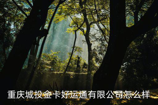 重慶城投金卡好運通有限公司怎么樣