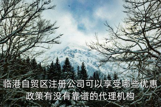 注冊在臨港的公司有什么優惠政策，在上海浦東臨港注冊公司有什么好處