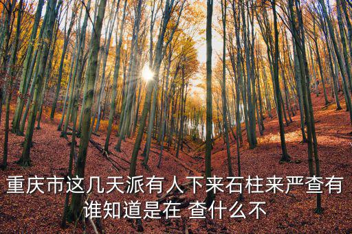 重慶市這幾天派有人下來石柱來嚴查有誰知道是在 查什么不