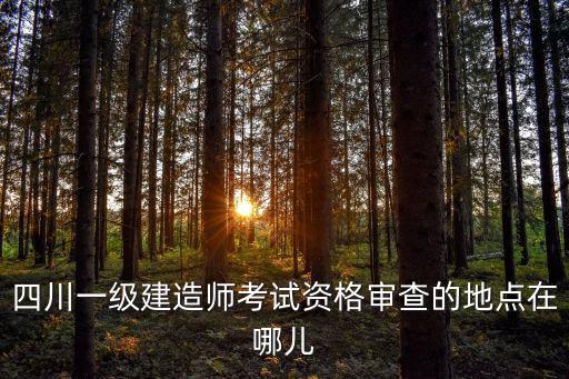 四川一級建造師考試資格審查的地點在哪兒