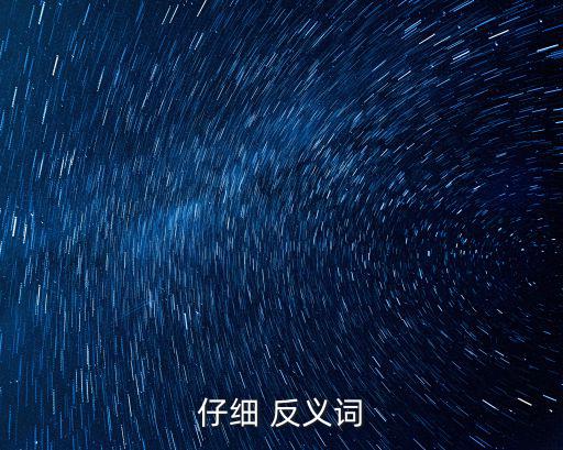 仔細 反義詞