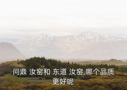 東道汝窯,大陸仿品東道做的比較早比較有名的是恒福和寶奉