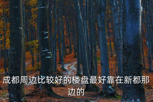 成都周邊比較好的樓盤最好靠在新都那邊的