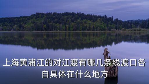 黃浦江輪渡有幾條線，請(qǐng)問黃浦江上有哪些輪渡線是能過自行車的