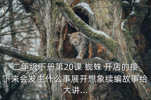 蜘蛛開店續寫,蜘蛛網購服裝訂單增加網購熱情提升銷量