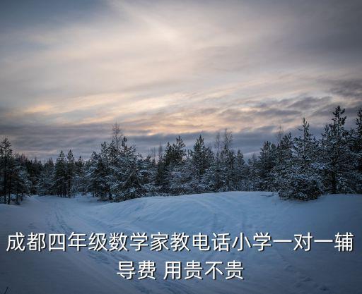 成都四年級數學家教電話小學一對一輔導費 用貴不貴