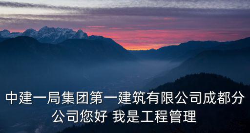 中建一局集團第一建筑有限公司成都分公司您好 我是工程管理