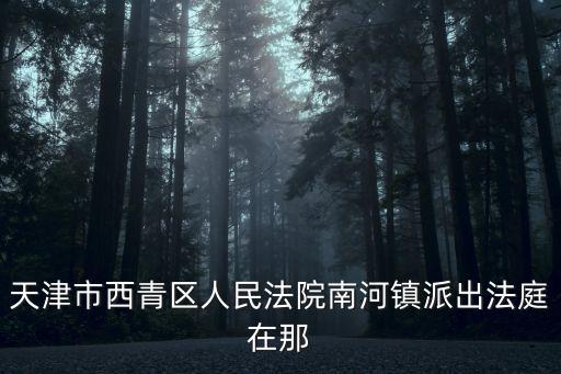 天津市西青區人民法院南河鎮派出法庭在那