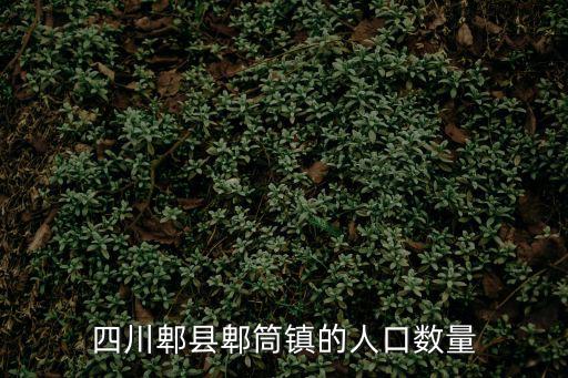 四川郫縣郫筒鎮的人口數量