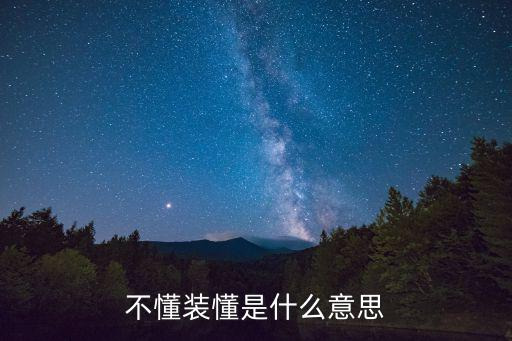不懂裝懂是什么意思