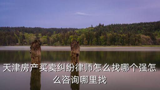 天津市津南房產類律師，天津房產買賣糾紛律師怎么找哪個強怎么咨詢哪里找