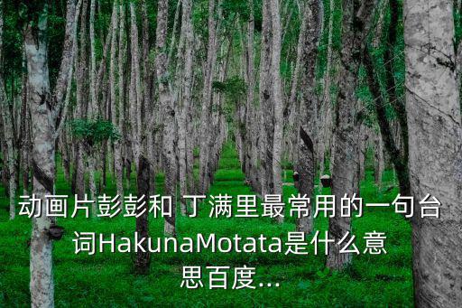 動(dòng)畫片彭彭和 丁滿里最常用的一句臺(tái)詞HakunaMotata是什么意思百度...