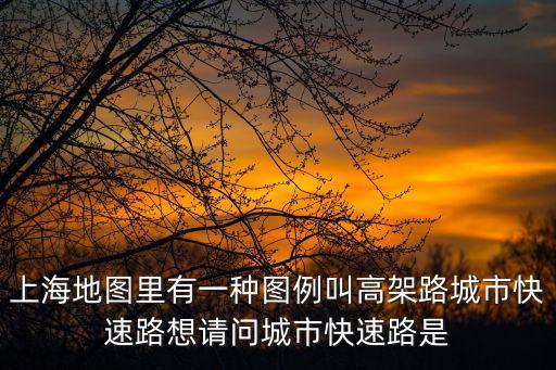 上海地圖里有一種圖例叫高架路城市快速路想請問城市快速路是
