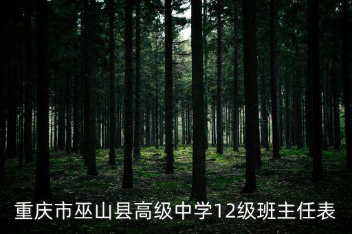 重慶市巫山李云中，重慶市巫山縣縣長名叫什么