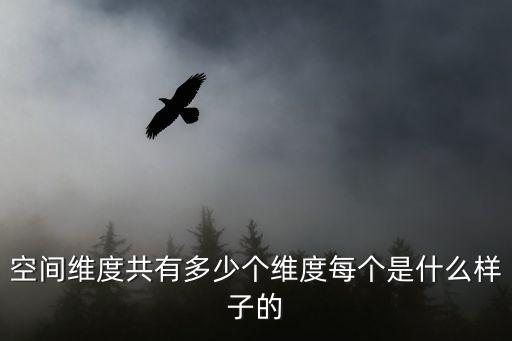 空間維度共有多少個維度每個是什么樣子的