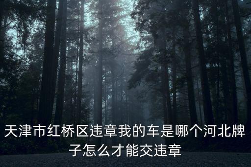 天津市紅橋區違章我的車是哪個河北牌子怎么才能交違章
